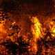 Illustration for article titled Wildfire Makes List Of Spots To Hit On Return Trip To California Next Summer